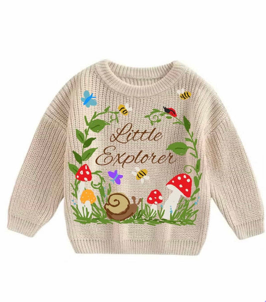 Little Explorer Jumper